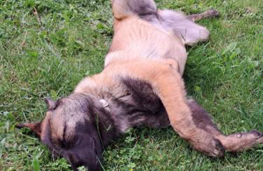 A casa do Xastre - Foto 31