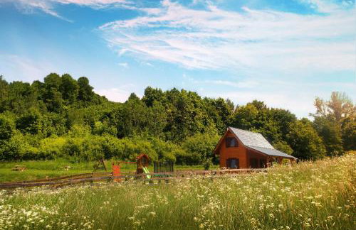 Szalejówka Domki - Foto 2