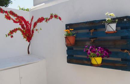 Studios Iris - Foto 43