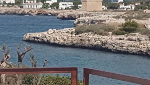 Agua en las Rocas - Foto 1, Garden