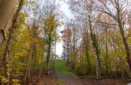 Ferienpark Vieregge - Häuser 2-2D - Photo 15