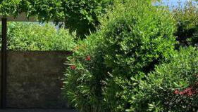 Splendido cottage Lakeview - Photo 2