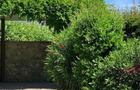 Splendido cottage Lakeview - Photo 2