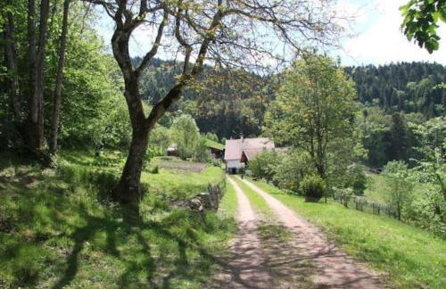 RELAX CHALET Nature Retreat - isolé sur 3 hectares - confort de LUXE - maison entière 150m2 - près de La Bresse - Foto 39