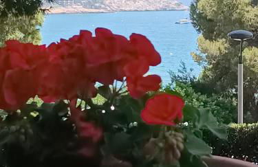 Beach & Flowers Free Parking - Foto 1