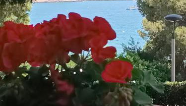 Beach & Flowers Free Parking - Foto 1