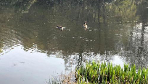 Finlaystone Barns - Foto 2