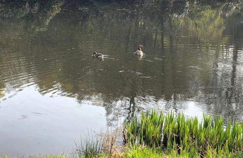 Finlaystone Family Barn - Foto 2