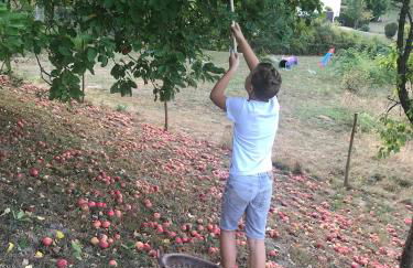 Luxe, landelijke vakantiewoning der alte Birnenbaum Duitsland-Sankt Wendel - Foto 37