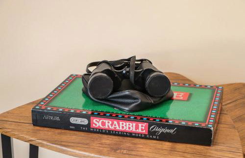 Red Squirrel - Foto 13