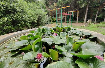 Agriturismo Boccadifuoco - Foto 46