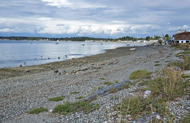 Raintree's Sandcastle - Foto 30