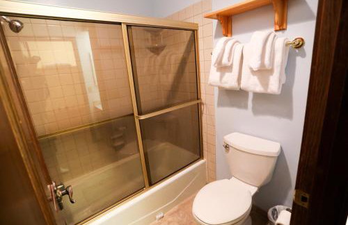 Updated Mammoth condo on Red line - Photo 11