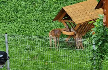 Osada Słoneczny Zdrój - Foto 67