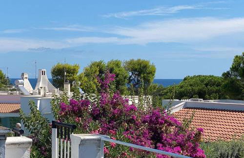 Gli Ulivi Rosamarina Ostuni - Foto 51