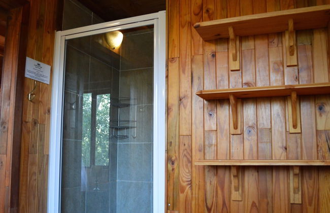 Lion Tree Bush Lodge - Foto 25