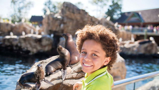 Seaworld San Diego Entrance Ticket - Foto 4