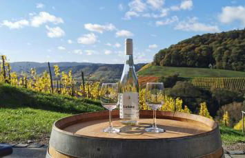 MoselHoch - Photo 17