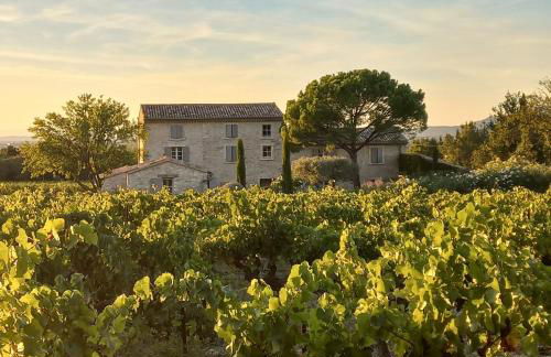 Le Cottage du Chat Blanc - Foto 1