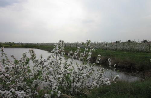 Ferienwohnung Werner - Foto 13