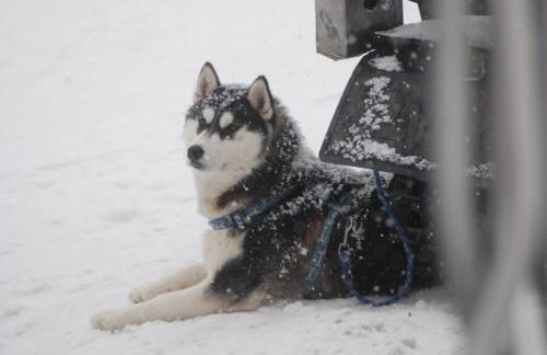 les Gites de l’E.D.E. - Photo 30