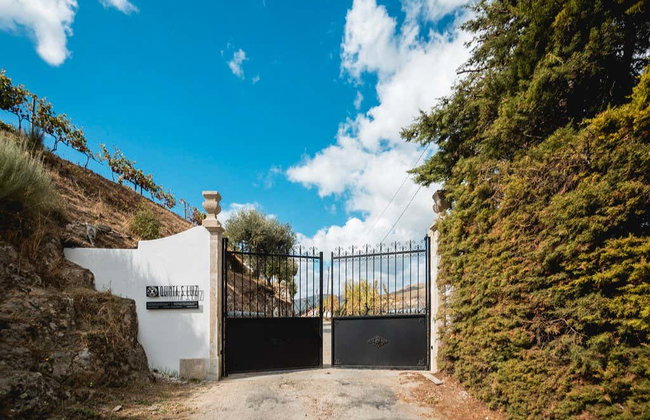 Cata de vinos en Quinta São Luiz - Foto 6