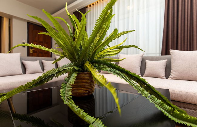 Blackwood Hotel and Apartments - Photo 8