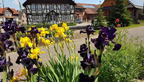 Müllers Hof Ferienwohnung/Pension - Foto 2