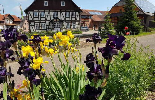 Müllers Hof Ferienwohnung/Pension - Foto 2