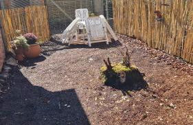 Ferien auf dem Land - Foto 14