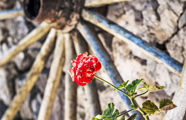 Sant Joan - Photo 30