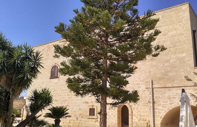 Agriturismo Masseria Nuova - Foto 30