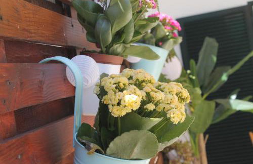 Casa das Camélias - Foto 2