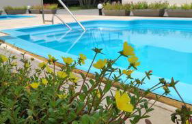 Pipa Céu Azul - Foto 1