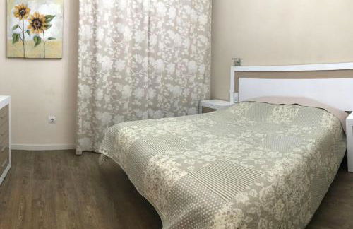 City center where Falla starts - Photo 12