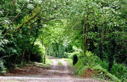 Willow Lodge, Hot Tub, Woodburner - Foto 24