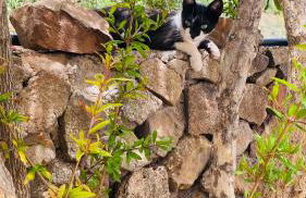 Cueva Las Nubes - Foto 38