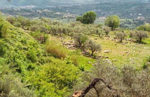 Villa de Luccheri - Foto 24