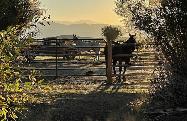 3 Spear Ranch - Foto 27