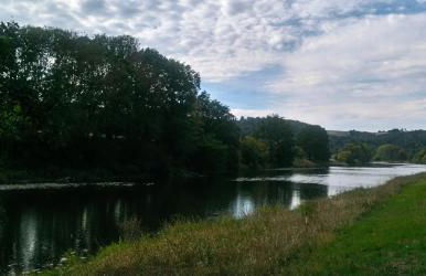 Bungalow Thiele - Foto 10