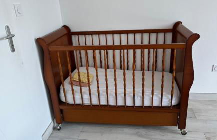 Au gré des oiseaux - Photo 18