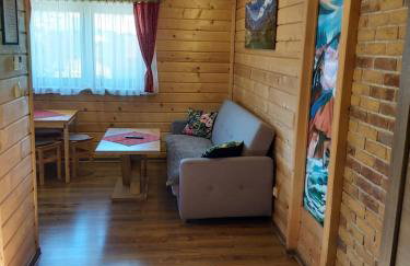 Apartamenty i Domki Biały Dunajec - Foto 19