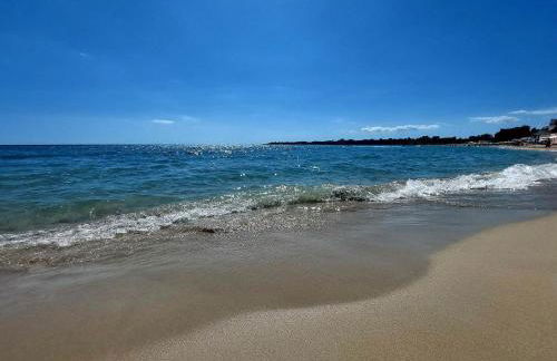 Endless Summer - Photo 3