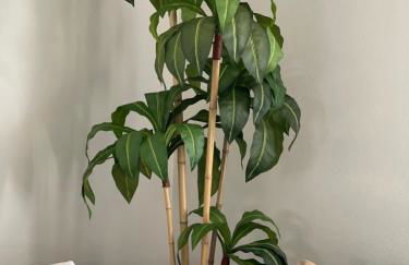 Perfect 4Bd with King Bed Vacation Home - Photo 33