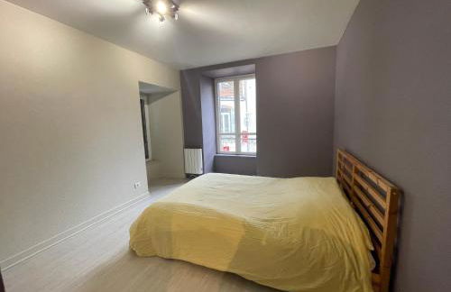 Appartement porte du cantal - Photo 4