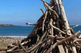 The Snug @ the Mill Inn, Stonehaven - Foto 20