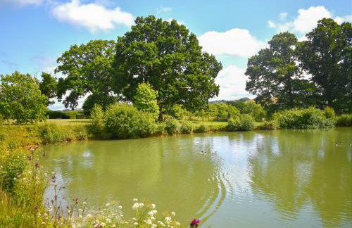 Oak Park Two - Uk50063 - Foto 17