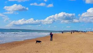 Carnaval 16 - Foto 4