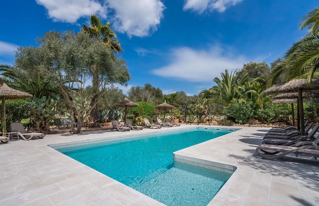 Can Pina - Eco Pina - - Photo 31