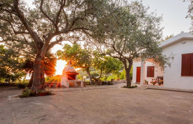 Welcomely - Badde Nuraghe - Foto 1